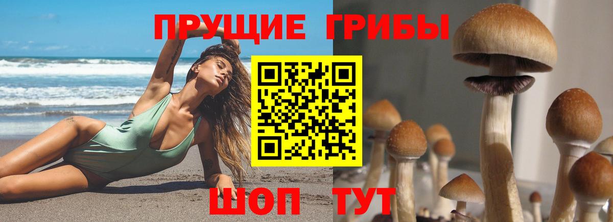Псилоцибиновые грибы ЛСД Нижнекамск